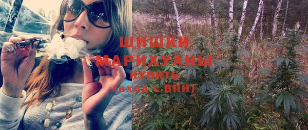PSILOCYBIN Зерноград