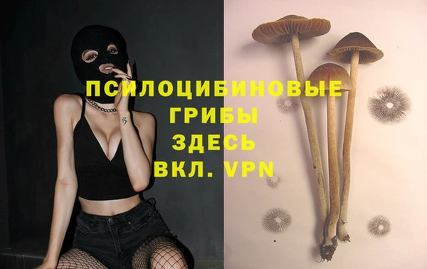 MDMA Premium VHQ Зеленокумск