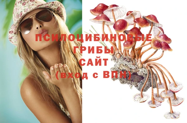 PSILOCYBIN Зерноград