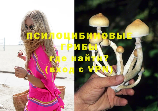 PSILOCYBIN Зерноград