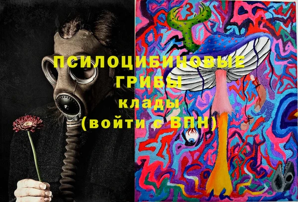 PSILOCYBIN Зерноград