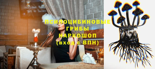 PSILOCYBIN Зерноград
