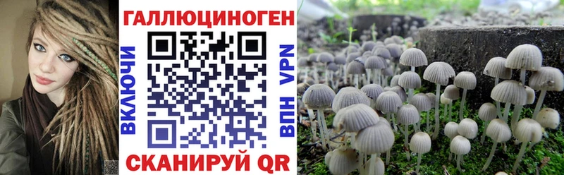 где купить наркотик  OMG зеркало  Галлюциногенные грибы Cubensis  Камызяк 